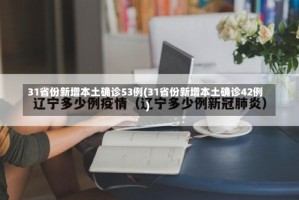 31省份新增本土确诊53例(31省份新增本土确诊42例)