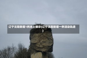 辽宁沈阳新增1例本土确诊(辽宁沈阳新增一例活动轨迹)