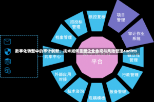 数字化转型中的审计创新，技术如何重塑企业合规与风险管理auditts