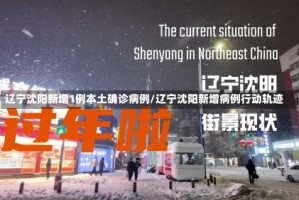 辽宁沈阳新增1例本土确诊病例/辽宁沈阳新增病例行动轨迹