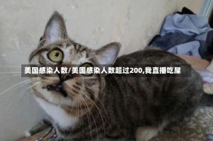 美国感染人数/美国感染人数超过200,我直播吃屎