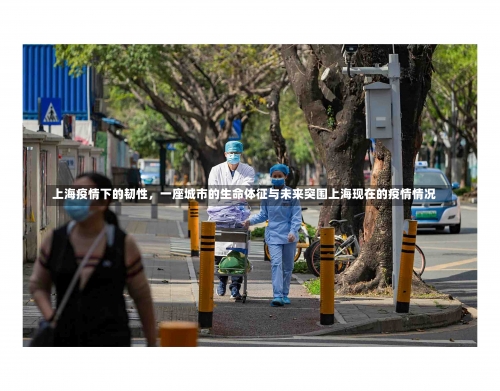 上海疫情下的韧性，一座城市的生命体征与未来突围上海现在的疫情情况-第2张图片