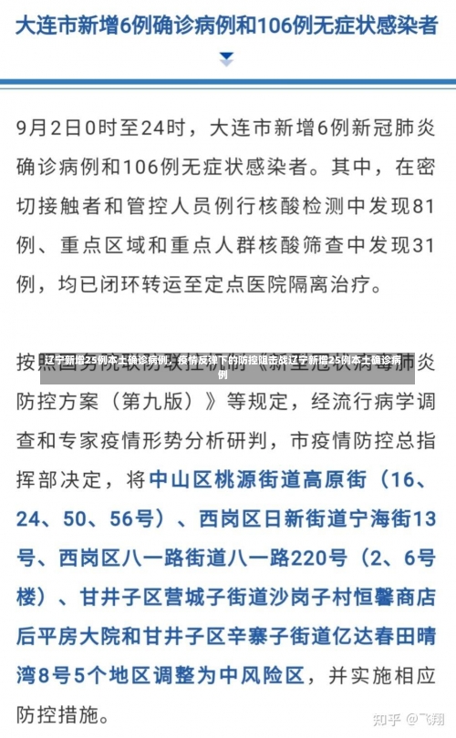 辽宁新增25例本土确诊病例，疫情反弹下的防控阻击战辽宁新增25例本土确诊病例-第1张图片
