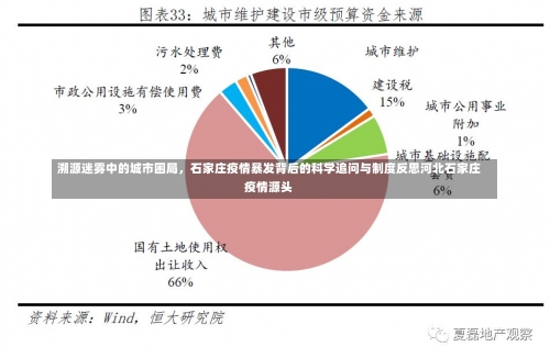 溯源迷雾中的城市困局	，石家庄疫情暴发背后的科学追问与制度反思河北石家庄疫情源头-第2张图片