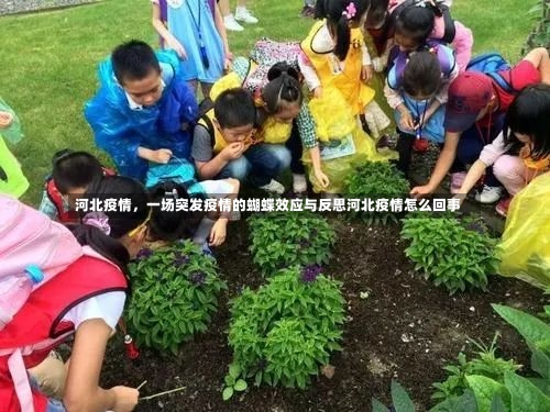 河北疫情	，一场突发疫情的蝴蝶效应与反思河北疫情怎么回事-第1张图片