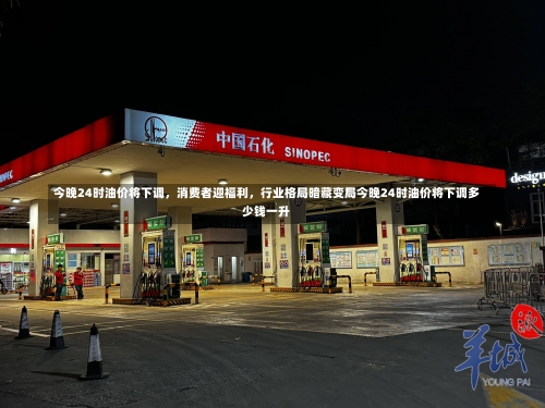 今晚24时油价将下调，消费者迎福利	，行业格局暗藏变局今晚24时油价将下调多少钱一升-第2张图片