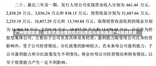 广州限牌政策，城市交通治理的双刃剑效应与未来路径广州限牌政策-第2张图片