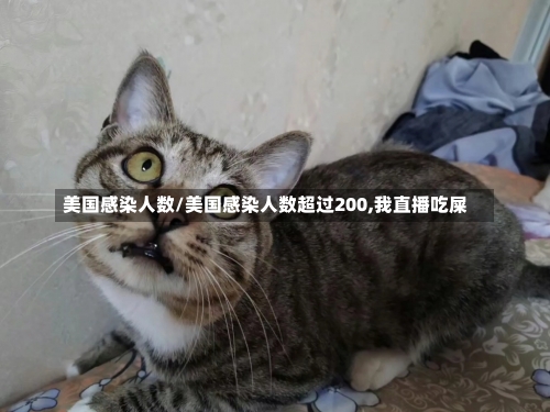 美国感染人数/美国感染人数超过200,我直播吃屎-第1张图片