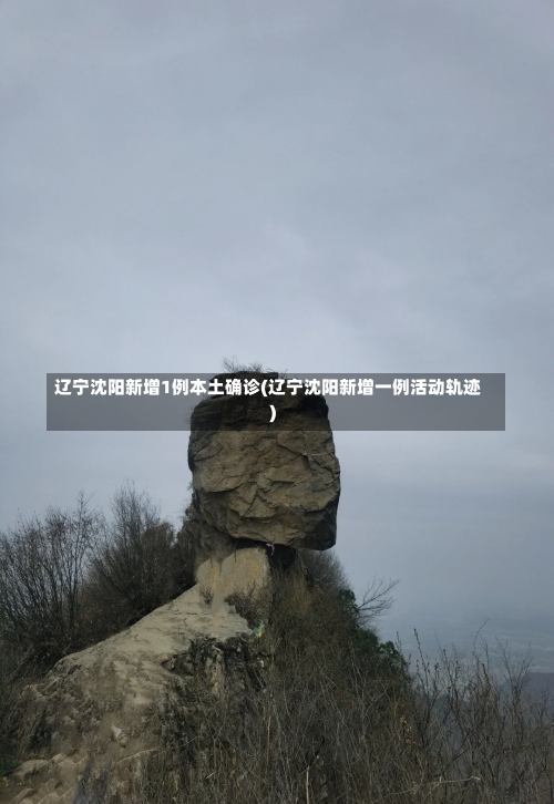 辽宁沈阳新增1例本土确诊(辽宁沈阳新增一例活动轨迹)-第1张图片