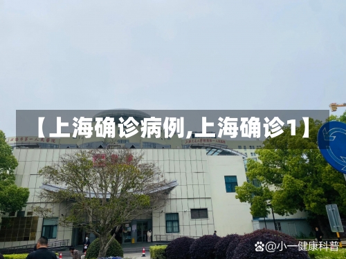 【上海确诊病例,上海确诊1】-第3张图片